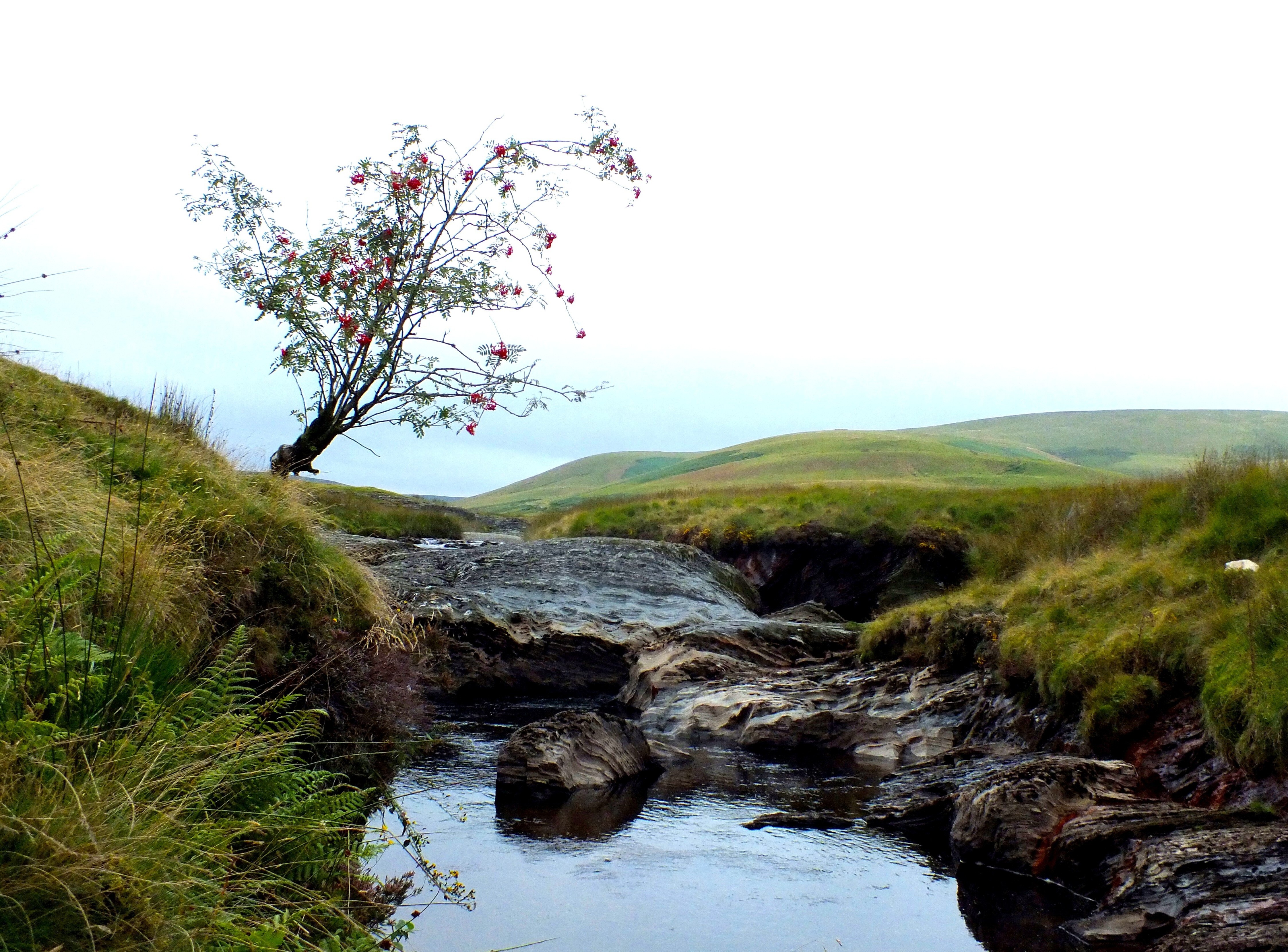 HEAD OF ELAN VALLEY Bill Bagley Photography